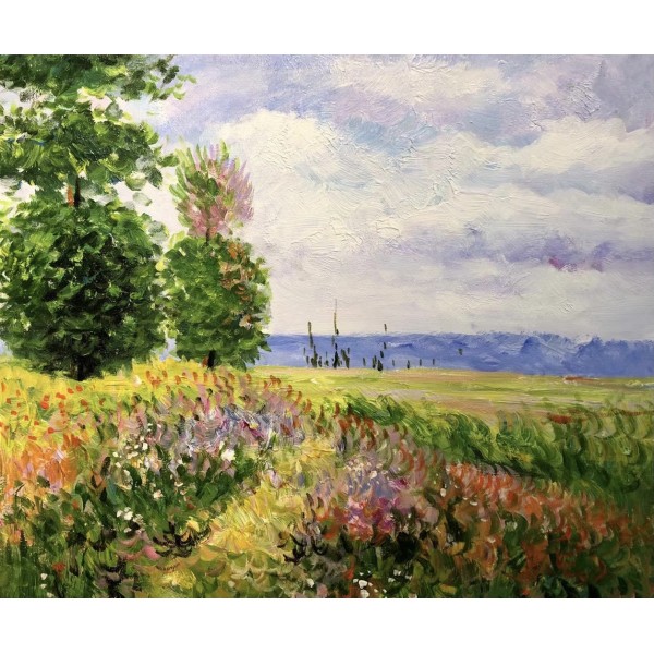 Beautiful fields