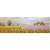 Blooming sunflowers ...